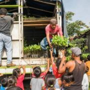 Onetreeplanted Guatemala